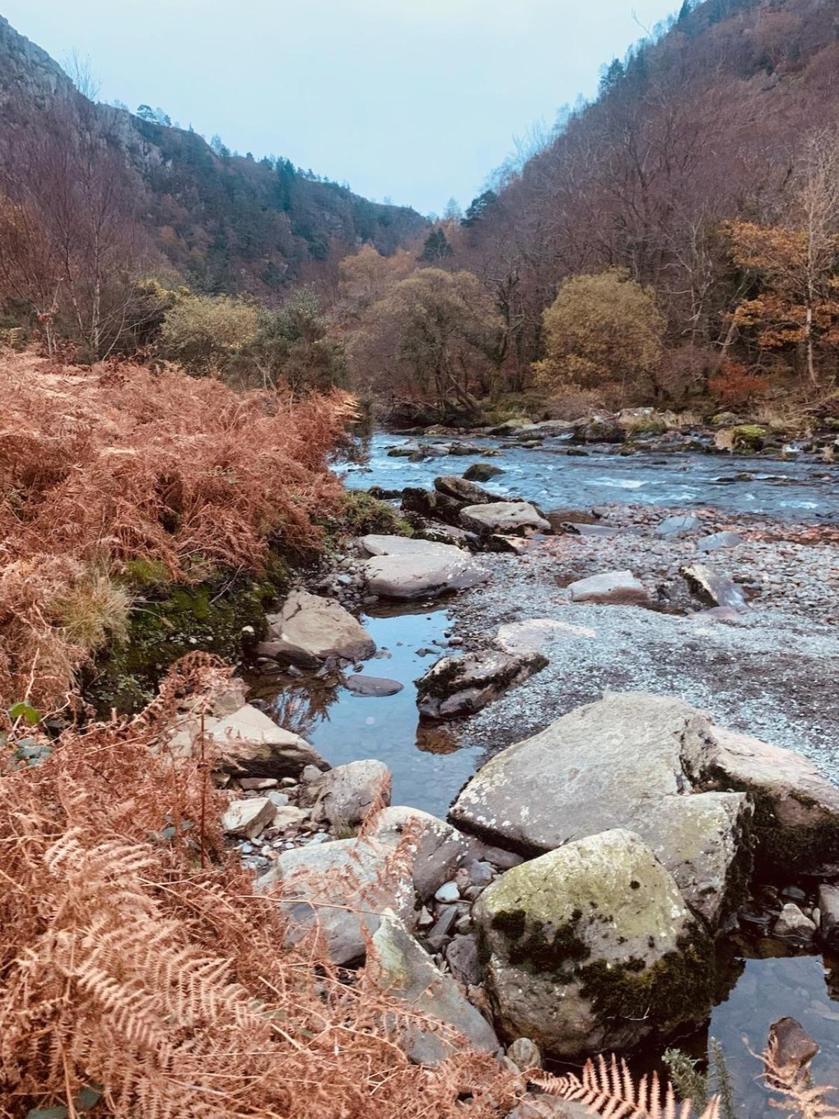 Tyn Y Simdde - Secluded Mountain Stay - Stunning Views Of Eryri Dolgellau Buitenkant foto