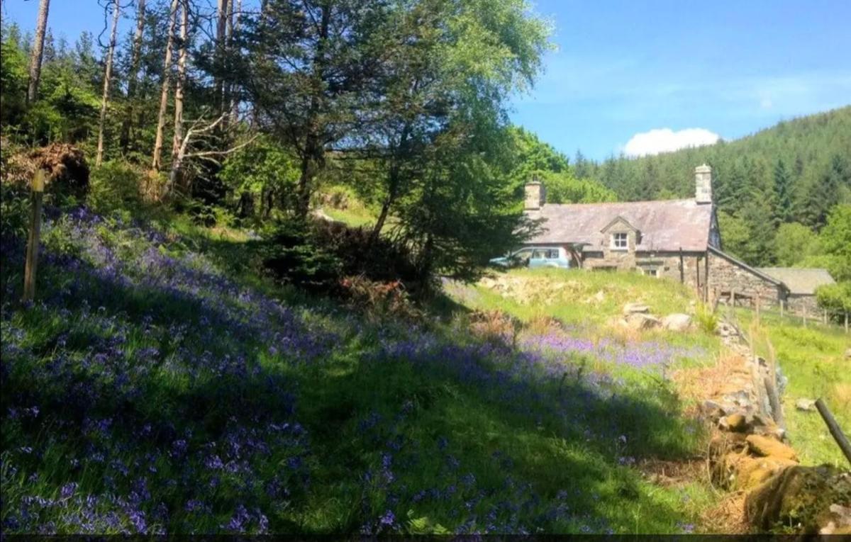 Tyn Y Simdde - Secluded Mountain Stay - Stunning Views Of Eryri Dolgellau Buitenkant foto