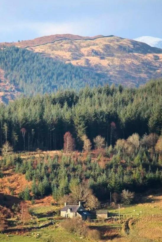 Tyn Y Simdde - Secluded Mountain Stay - Stunning Views Of Eryri Dolgellau Buitenkant foto