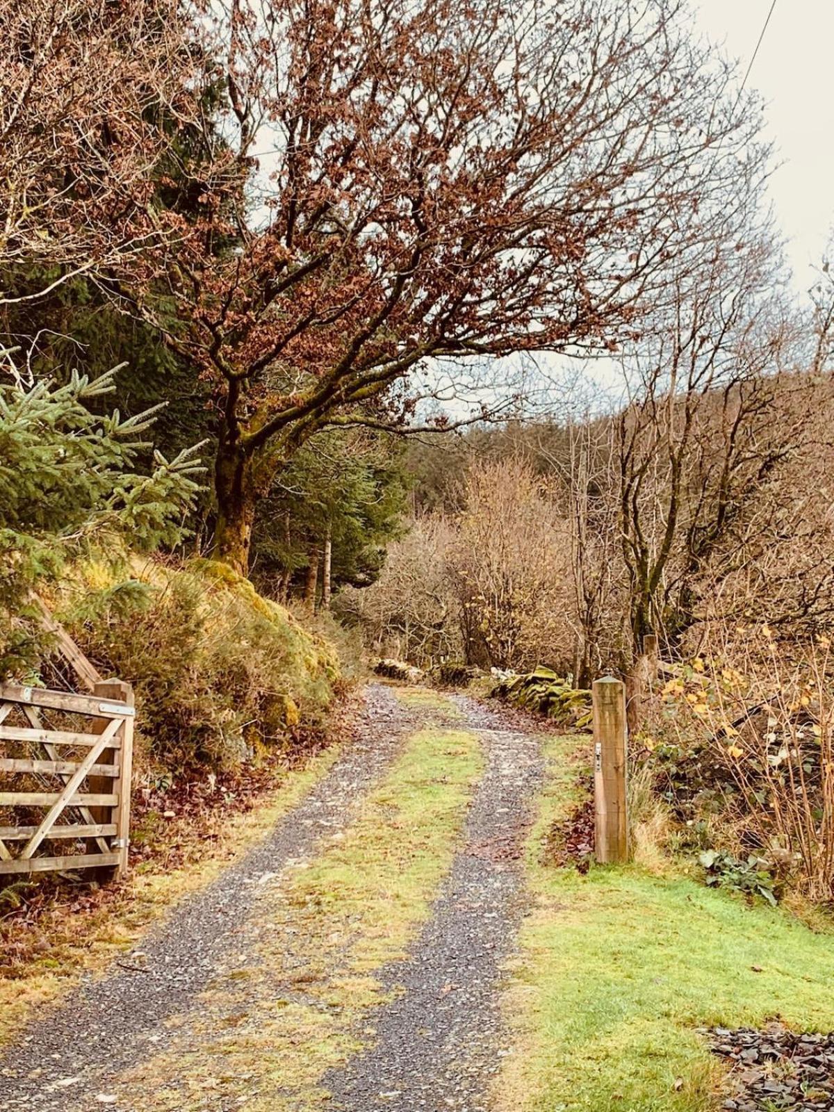 Tyn Y Simdde - Secluded Mountain Stay - Stunning Views Of Eryri Dolgellau Buitenkant foto