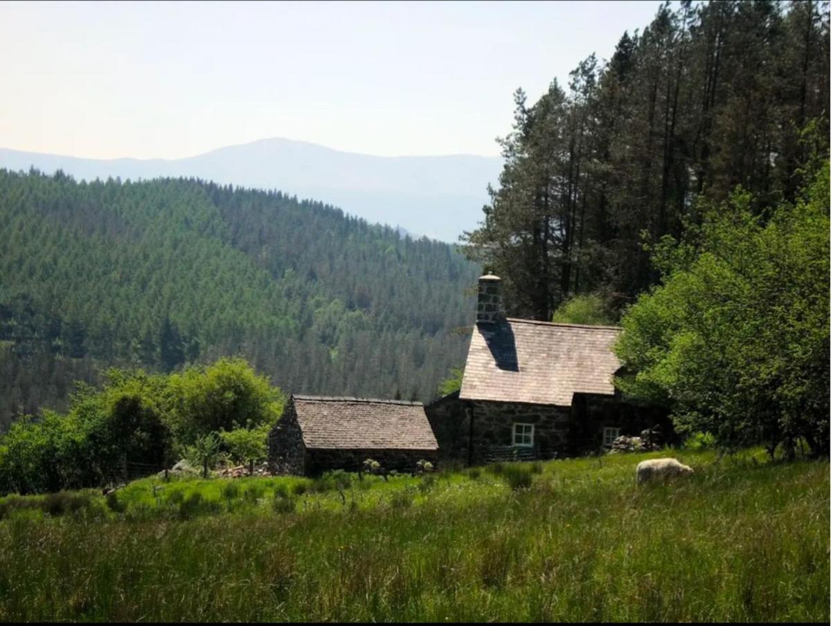 Tyn Y Simdde - Secluded Mountain Stay - Stunning Views Of Eryri Dolgellau Buitenkant foto